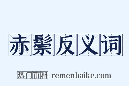 赤鬃反义词是什么意思的图片